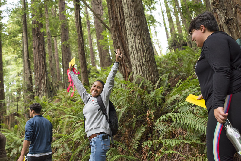 Students walking through Humboldt State's campus forest in California.