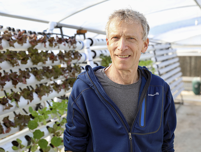 A man with grey hair standing between rows of hydroponic produce in a greenhouse