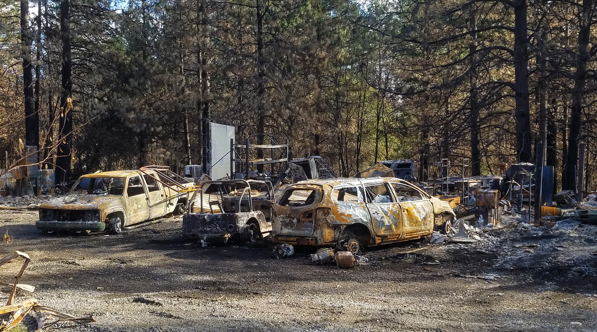 Burned cars in a wooded area.