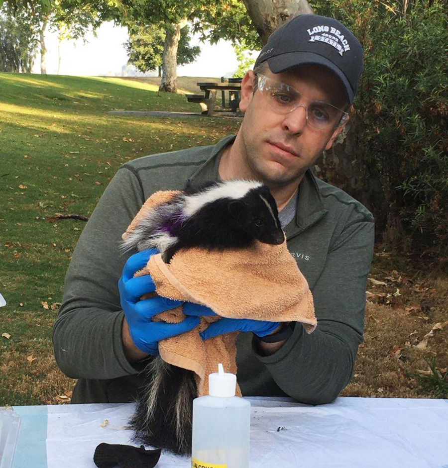 Dr. Ted Stankowich holds a skunk