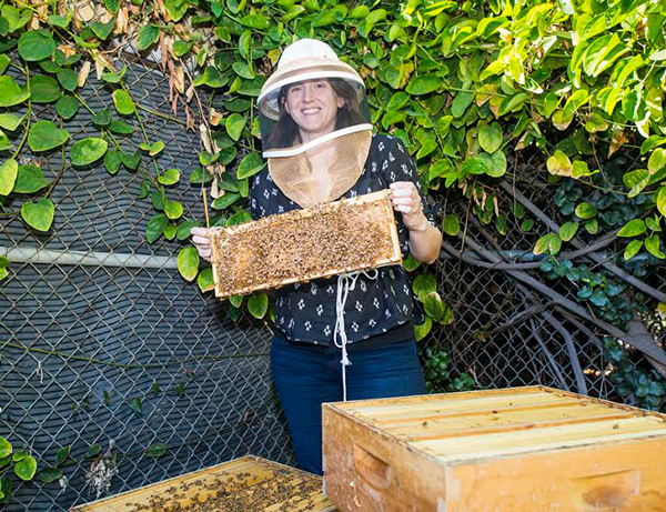 Beekeeper holding Honey Board