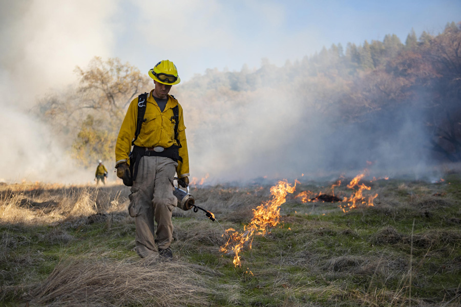 Biology graduate student Mitch Bamford (center) uses a drip torch to intentionally ignite fires at Big Chico Creek Ecological Reserve (BCCER). The BCCER regularly partners with Terra Fuego, Firestorm and Cal Fire to conduct prescribed burns, which reduce fuels, mitigate fire risk on the property and provide a training opportunity for Chico State students and current and future fire professionals. The BCCER has been using prescribed burns as a way of reducing fire danger and teaching students about resilient ecosystems for more than a decade. (Jason Halley/University Photographer/CSU Chico)