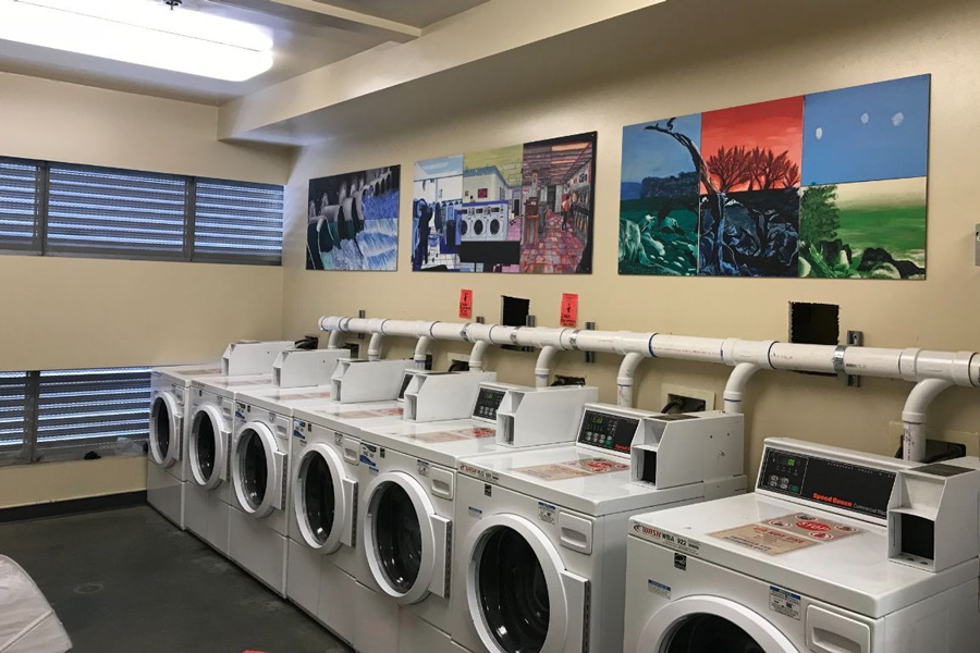 This Laundry to Landscape model system installed in Pinnacles Residential Hall collects, filters and irrigates adjacent landscaping with water from eight washing machines. Combined with low-water plumbing fixtures throughout campus, the system decreased potable water use by 26 percent from 2011 to 2019.
