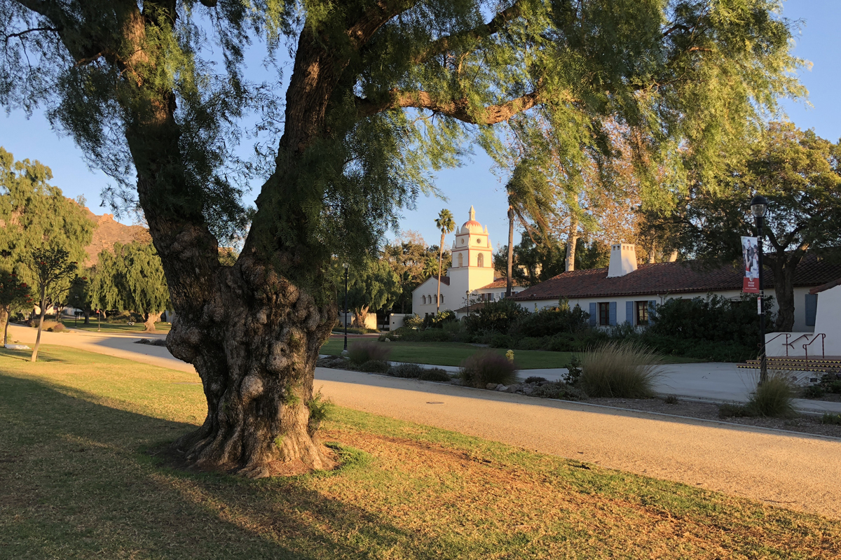 Fall light shines through CSUCI campus environs, 2018.