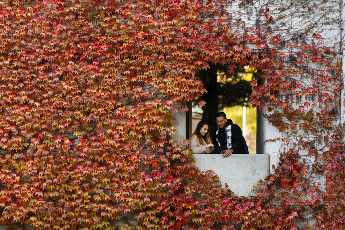 Leaves surround an opening outside the Peters Business building while students talk.