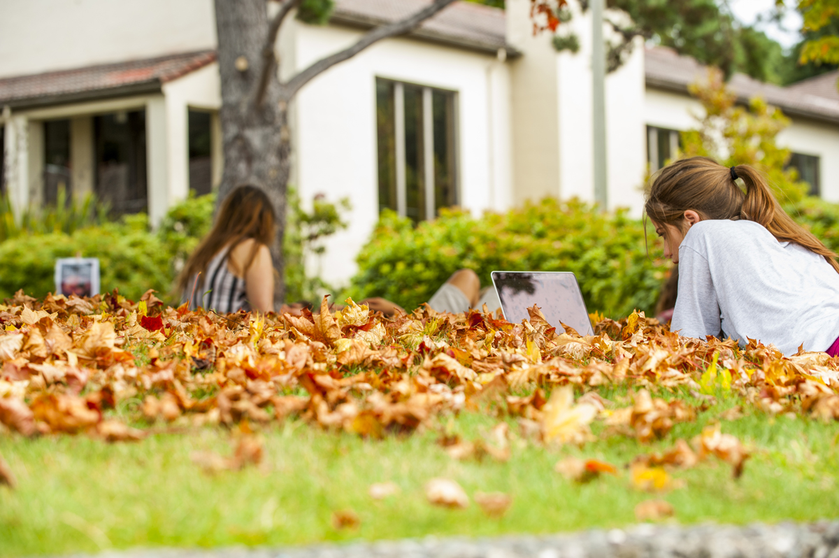English 104 students work outside on peer paper reviews near Library Circle, 2014​​