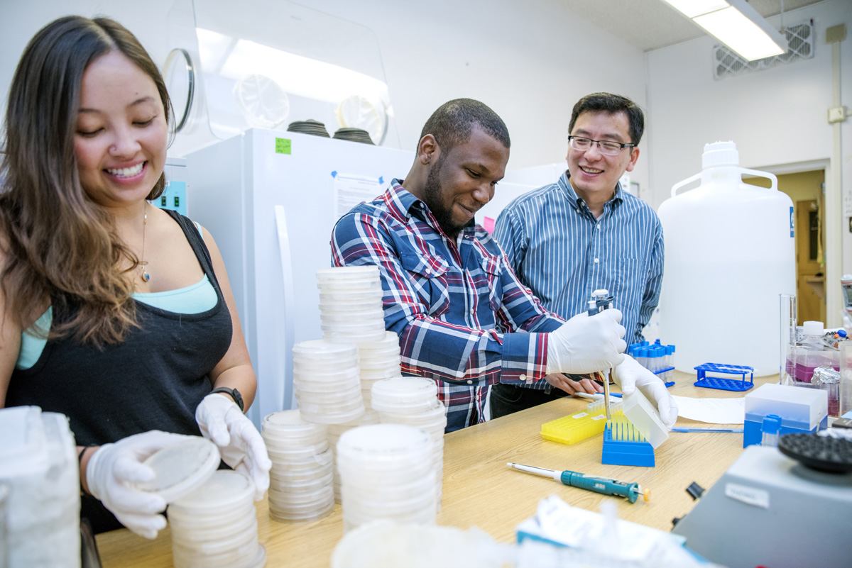 Professor Jianmin Zhong, Ph.D., oversees students performing summer research.